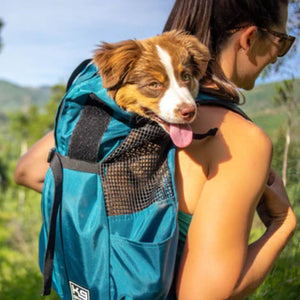 a woman in hiking carrying her dog in her bag in a blue backpack dog carrier 