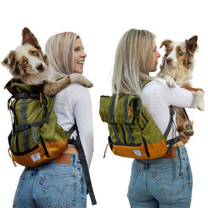 A woman wearing white with long blonde hair carrying her dog on her back in a leafy green dog backpack carrier and her other picture is carrying her dog while wearing a dog carrier on her back