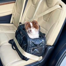 a tiny fluffy dog inside a black leather dog carrier at the back seat of a car with seatbelts on