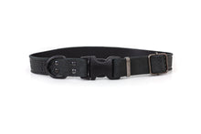 Celtic Sport Quick-Release Leather Dog Collar