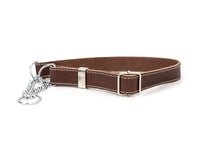 Martingale Leather Dog Collar