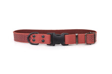 Celtic Sport Quick-Release Leather Dog Collar