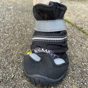 a close up image of a dog leg wearing a black Muckbuster dog boot on a concrete floor