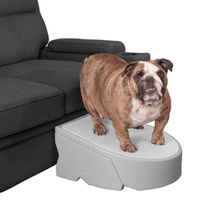 A french bulldog standing on a grey colored dog stair next to a balck couch with white background