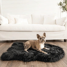 a french bulldog laying on a balck fluffy dog bed on a floor in front of a white couch in a modern living room