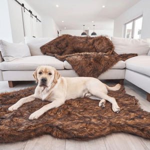 a labrador retriever laying on a brown furry dog bed next to an L shaped couch with a brown dog lounger in an all white modern living room setting