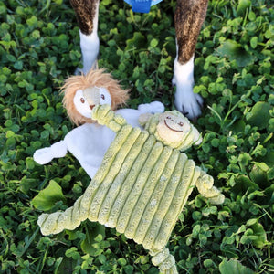a pair of flying monkey and lion dog toy laying on the ground nest to a dog 