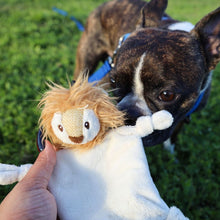 close up image of a man giving his dog paying on the grass a lion dog toy 