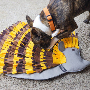 Close up image of a dog sniffing on a hedgehog shaped dog snuffle pad on the ground 