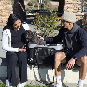 a couple sitting on the bench with their dog inside a black and grey dog carrier