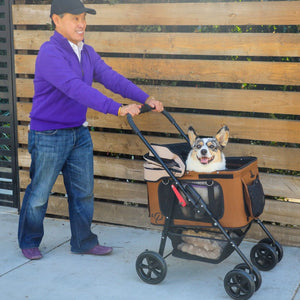 a happy man in blue jacket pushing his dog on the stroller next to a wooden gate 