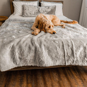 A golden doodle laying on the bed laying on a waterproof light grey dog blanket next to some pillows 