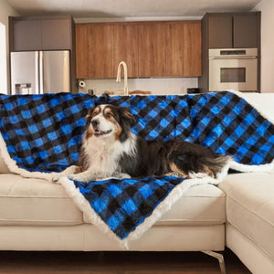 An australian sheppered on a white couch laying on a waterproof dog blanket with black and blue checkered pattern on the kitchen with refrigerator and a faucet on the background 