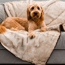 A golden doodle facing front on a grey couch laying on a waterproof white with brown accent dog blanket