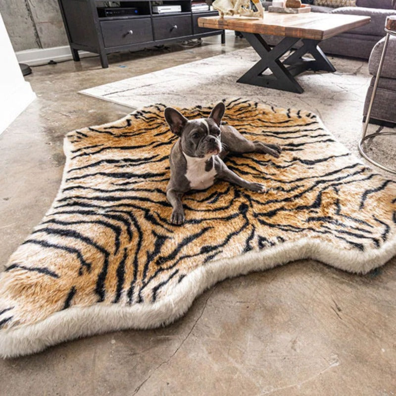 A French bulldog laying on a tiger printed furry curved dog bed in a living room next to a wooden table and black cabinets
