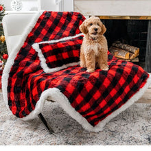 A golden doodle on a white chair next to a fireplace sitting on a red and black checkered pattern waterproof dog blanket and a small Christmas tree on the background