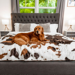 A golden retriever on a grey bed inside a modern bedroom laying on a brown cowhide patterned  waterproof dog blanket right next to a window and a lamp