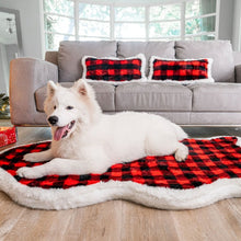 A white samoyed in a living room in front of a grey couch with dog pillows in red and black checkered pattern laying on a red and black patterned dog bed next to a Christmas present