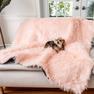 A morkie on a modern living room laying on a white couch with a waterproof blush pink blanket right next to the window 