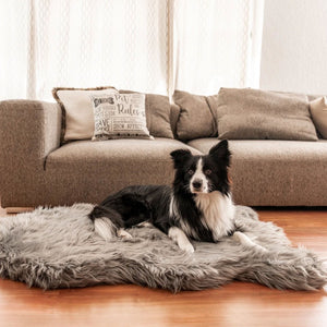 A border collie on the floor laying on a furry charcoal grey colored dog bed in front of a grey couch and pillows 