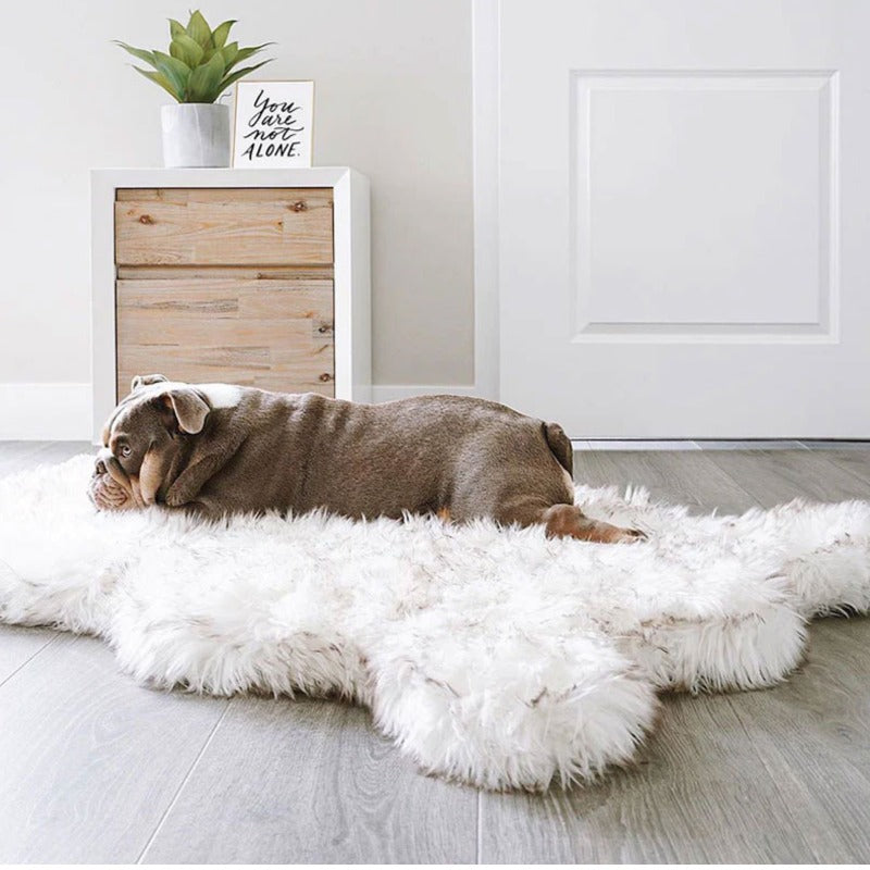 An old english bulldog laying an o furry curved white dog bed next to a white wooden drawer with a tiny plant and a frame on it 