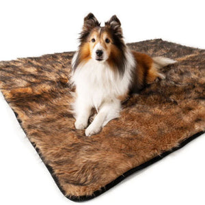 A sheltie laying on a sable tan waterproof dog blanket