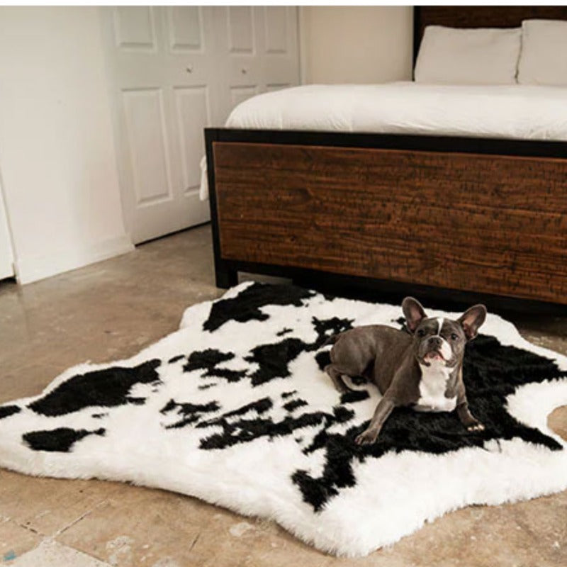 A French bulldog laying at the side of a black and white cow hide patterned fur dog bed next to a wooden bed with black frames and white foam and pillows and a white door inside a modern bedroom