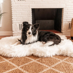 A border collie in front of a fireplace laying on a furry polar white dog bed 