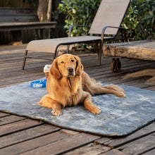 A golden retriever laying on a waterproof grey dog blanket on a wooden floor next to an outdoor pool chair and a wooden plank with a steel wheel 