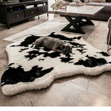 A tiny French bulldog in a modern living room laying next to a small wooden table and black drawers on a furry black and white cow hide like patterned dog bed