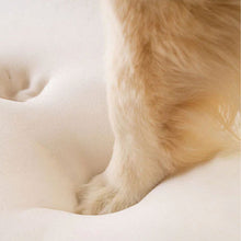 A leg of a furry dog pressed on a white soft foam 
