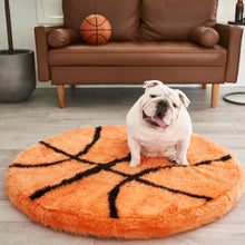 A white English bulldog on a living room sitting on a furry basketball shaped dog bed in front of  brown sofa with a basketball on it and a grey flower pot next to it 