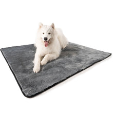 A white samoyed sticking his tongue laying on a  grey waterproof dog blanket