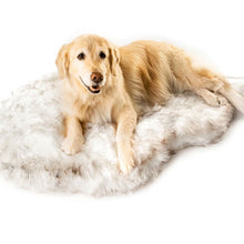 A golden retriever laying on a furry white dog bed with brown accents 