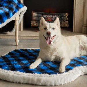 A white Siberian husky sticking his tongue out and laying on a furry dog bed with blue and black checkered pattern in front of a fireplace and a white chair with a furry blue checkered pattern blanket