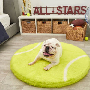 A white english bulldog on a bedroom sitting on a furry tennis shaped dogbed in front of a white drawers with trophies beside the grey bed and a basket full of toys and balls 