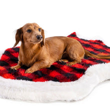 A brown dachshund laying on a dog bed with red and black checkered pattern