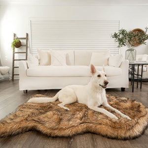 A white shepperd on a modern living room laying on a furry sable tan colored dog bed in front of a white couch and ornaments on a ladder and a glass table next to it 