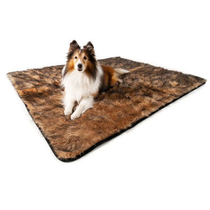 A full view of a sheltie laying of a sable tan waterproof dog blanket