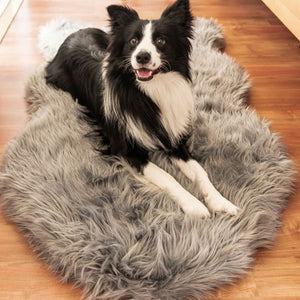 A border collie laying on a charcoal grey furry dog bed on a wooden tiled floor