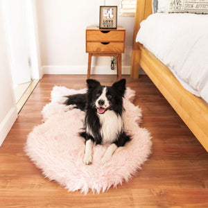 A border collie in a bedroom next to a wooden bed and a lamp desk with two cabinets and a picture frame laying on a furry blush pink curved dog bed 