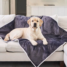 A labrador retriever on a white couch laying on a grey velvet waterproof dog blanket in a modern living room setting 