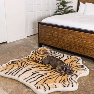 A sleeping French bulldog on a tiger printed soft furry curved dog bed next to a wooden bed with hide foam and pillows near the door next to a tiny plant