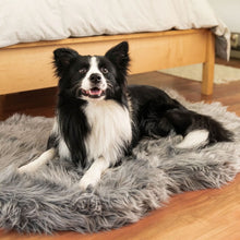 A border collie laying on a charcoal grey furry dog bed on the floor next to a wooden bed with white foam