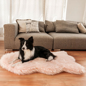 A border collie on the floor laying on a furry blush pink dog bed in front of a grey couch and pillows 