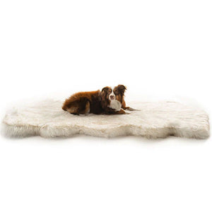 An australian Shepperd laying on a furry white dog bed 