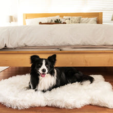 A border collie on the floor of a modern bedroom laying on a furry curved polar white dog bed in front of a wooden bed with white foam and pillows