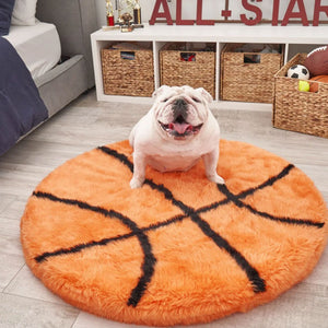 A white english bulldog on a bedroom sitting on a furry basketball shaped orange dogbed in front of a white drawers with trophies beside the grey bed and a basket full of toys and balls 
