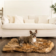 A french bulldog on a modern living room laying on a furry sable tan colored dog bed in front of a white couch 