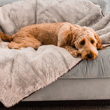 A sad golden doodle on a grey couch laying on a waterproof light grey dog blanket 